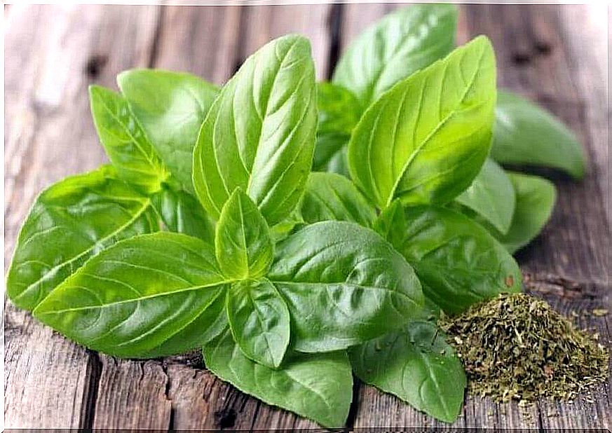 Basil fights stress