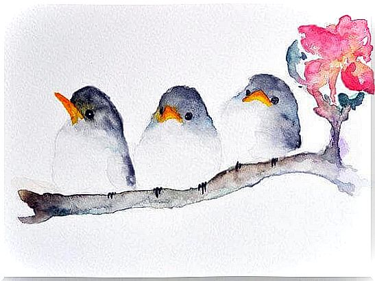 three small birds