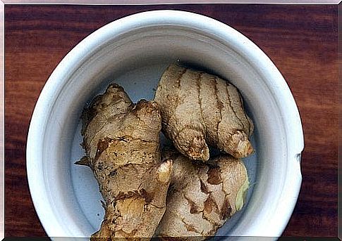 ginger for the treatment of carpal tunnel syndrome