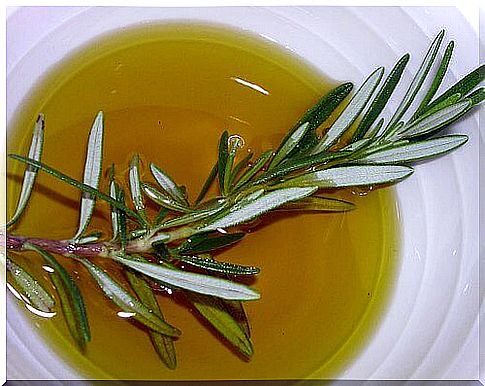 Rosemary oil for the treatment of carpal tunnel syndrome