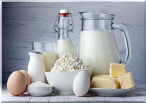 dairy products help prevent osteoporosis