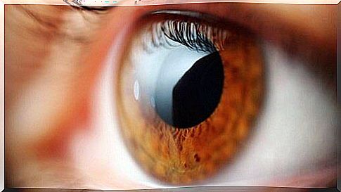 6 tips to improve vision naturally without surgery