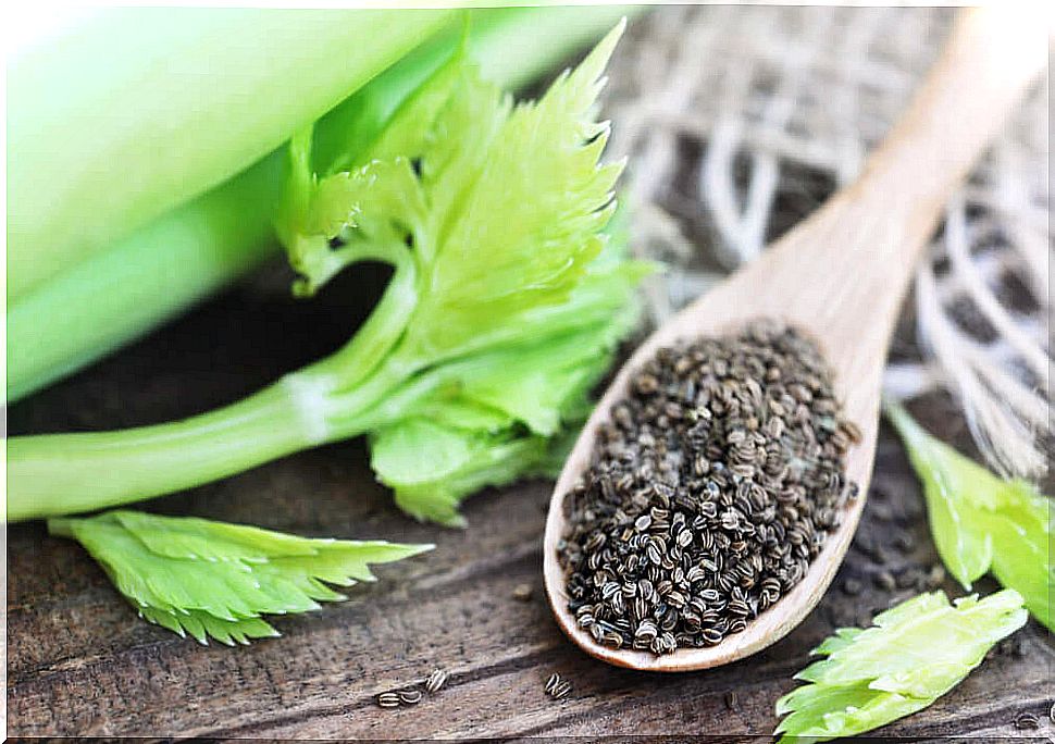 Celery seed stew to help with high blood pressure