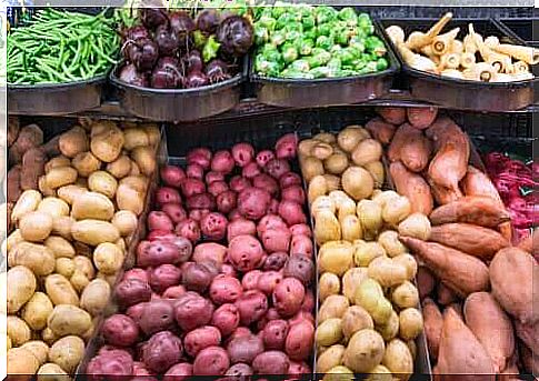 Difference between tubers, tuber roots and bulbs