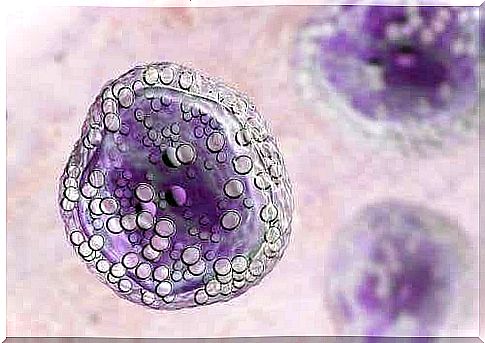 The terms apoptosis and necrosis refer to two ways in which a cell can die.