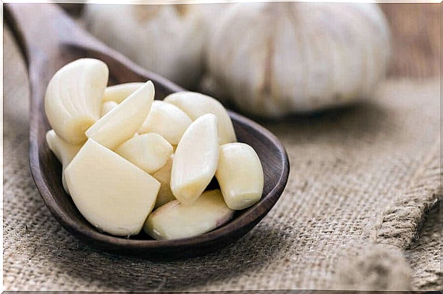 Garlic is an effective natural antibiotic