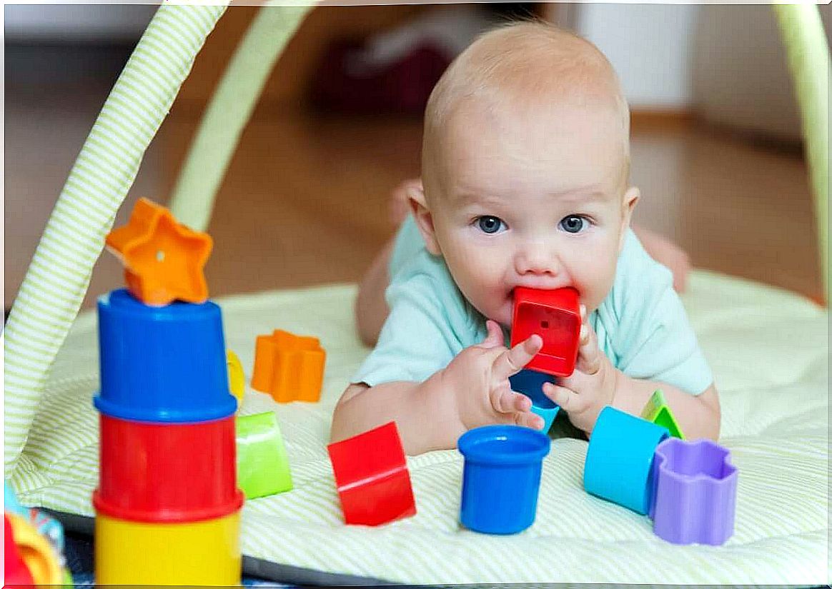 Babies explore the world around them with their senses.