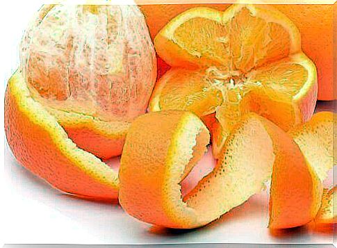 get rid of ants on orange peel