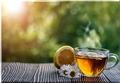 Chamomile helps treat aphthous