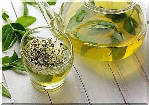 Drop weight at breakfast using green tea