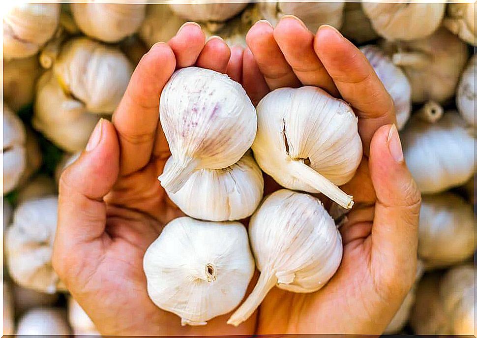 Garlic can be used to strengthen nails