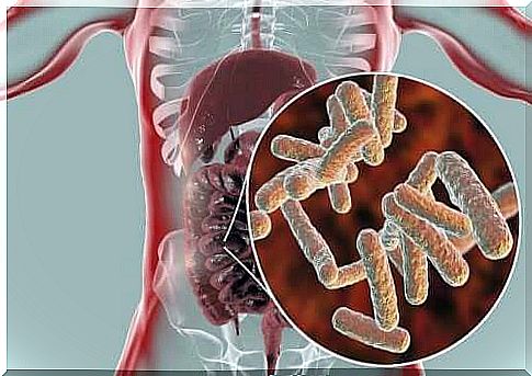 Fibromyalgia and intestinal microbes.