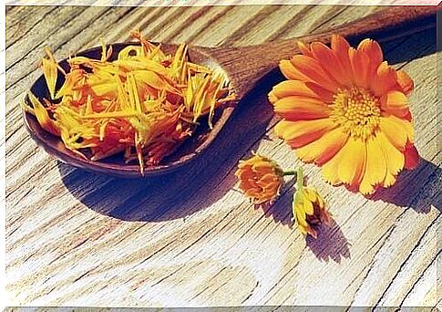 calendula and natural cream