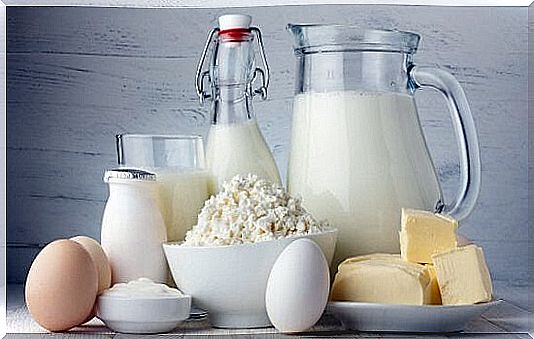 dairy products