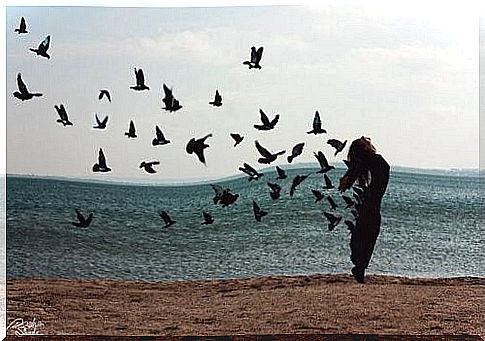 woman and birds on the beach