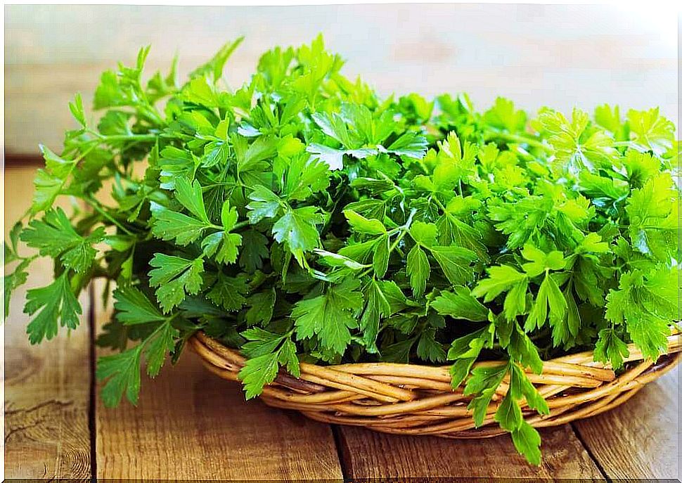 Properties of parsley for kidney care