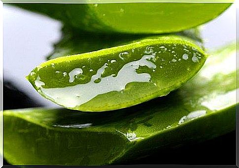 The best health benefits of aloe vera