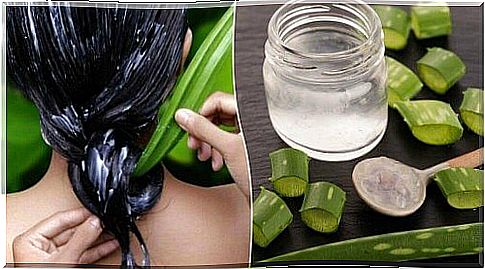 Aloe Vera moisturizes hair and scalp