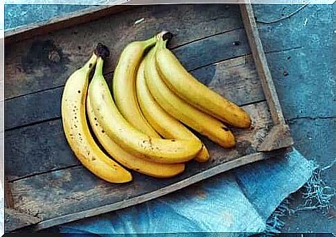 The best sources of one B vitamin are bananas