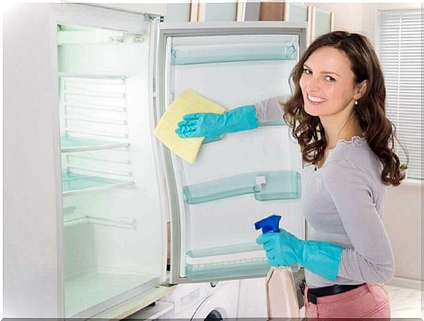 the woman has made the best cleaner and is now cleaning the fridge