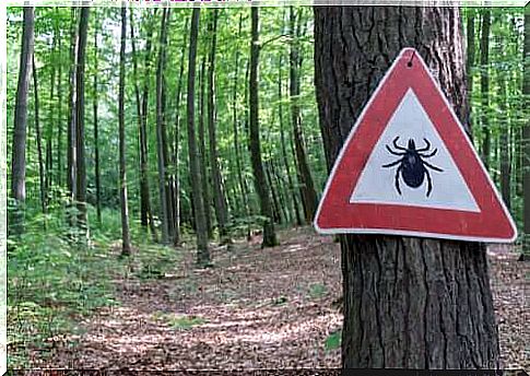 Treatment of Lyme disease