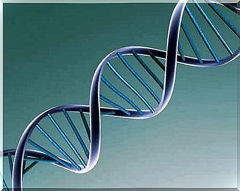 When olaparib binds to DNA-related enzymes, it prevents DNA repair by a number of reactions