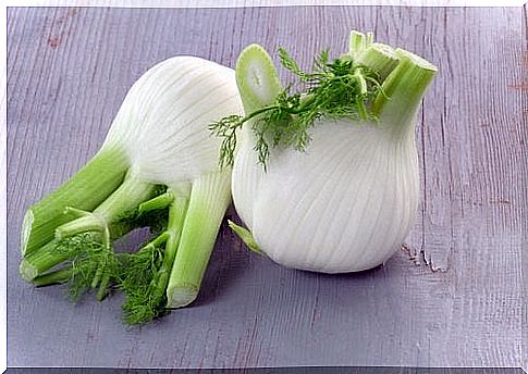 fennel