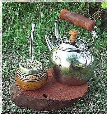 You can also enjoy yerba matea in the form of tea.